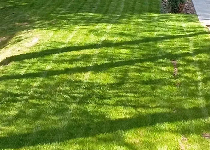 アパート Palisad Hills *